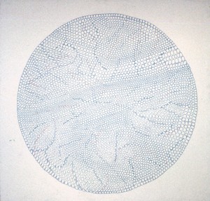 Under the Microscope (series) 1970